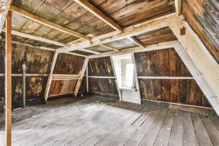Is mold in the attic dangerous