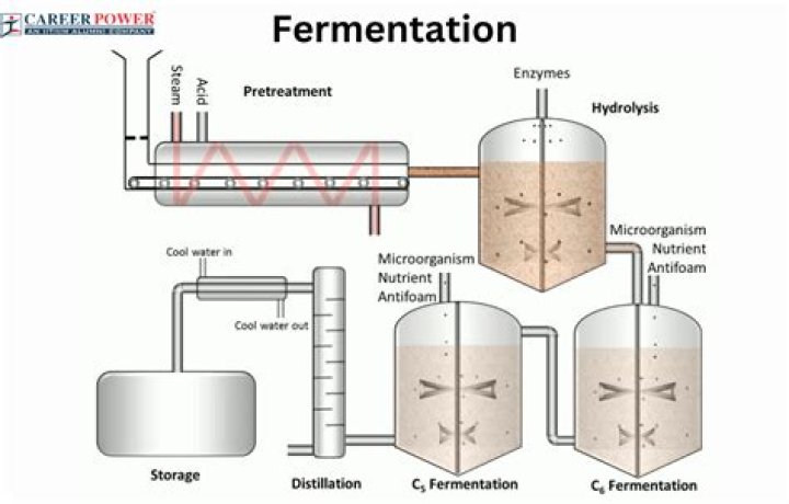 Is oxygen used in fermentation