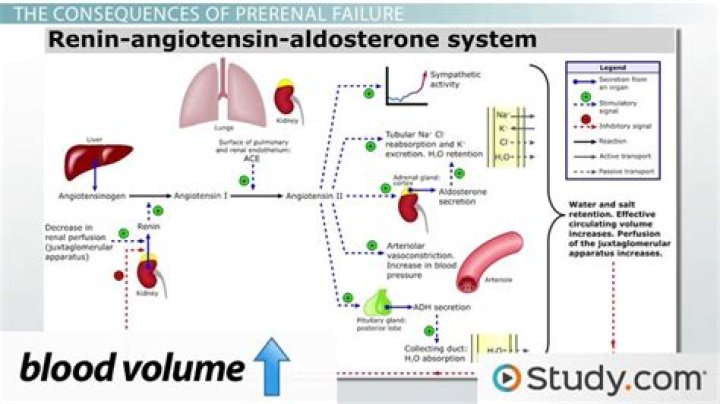 Is Prerenal failure reversible