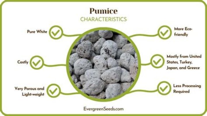 Is pumice better than perlite