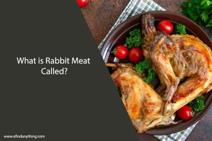 Is rabbit meat legal in the US