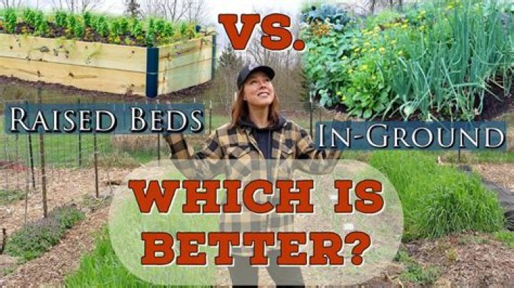 Is Raised bed gardening better