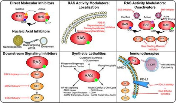 Is Ras gap a tumor suppressor