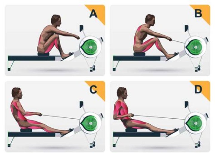 Is rowing machine good for abs