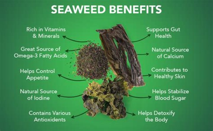Is seaweed good for your liver