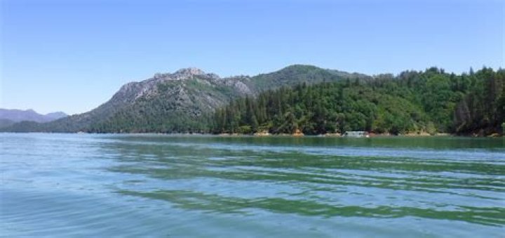 Is Shasta Lake safe to swim in