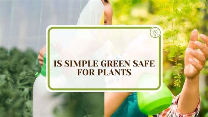 Is Simple Green safe for pools