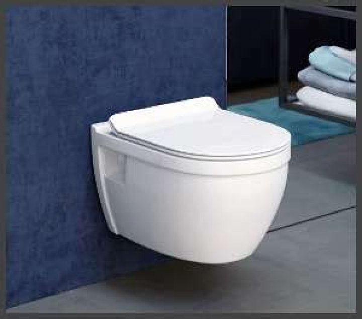 Is Swiss Madison a good toilet