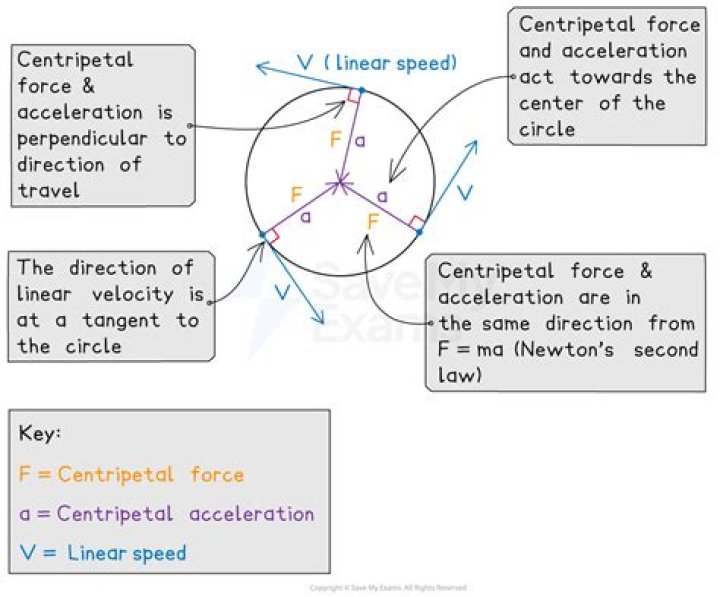 Is the force measured by the force sensor equal to the centripetal force