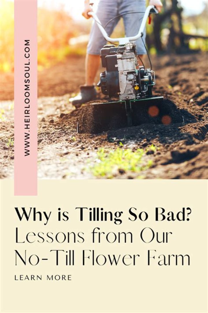 Is tilling bad for your garden