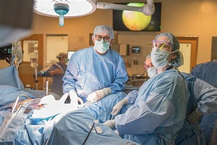 Is uterus transplant possible