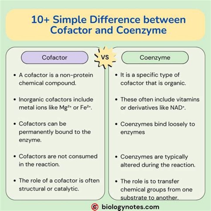 Is vitamin A cofactor or coenzyme