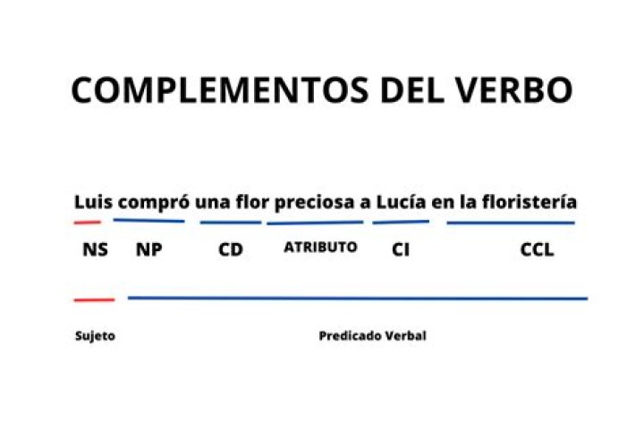 ¿Qué es complemento y ejemplos
