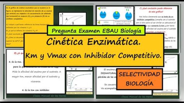 ¿Qué es la Km y la Vmax