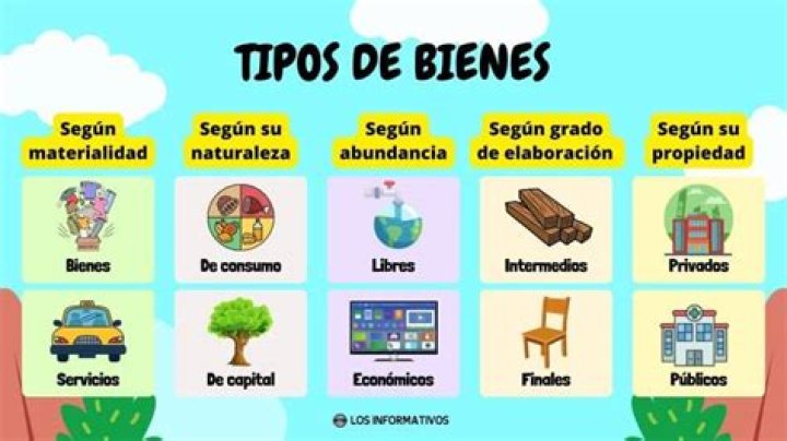 ¿Qué son los bienes y ejemplos