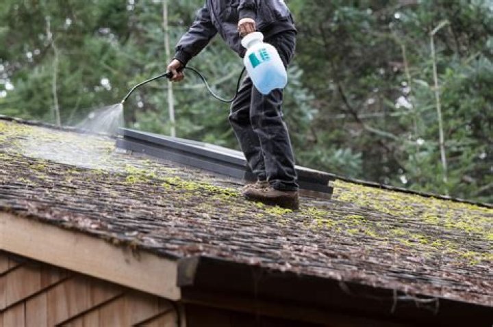 Should you remove moss from roofs