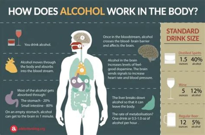What alcohol does Fat Tuesday use