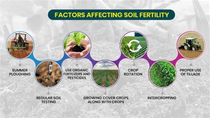 What an organic farmer could use to Fertilise the soil