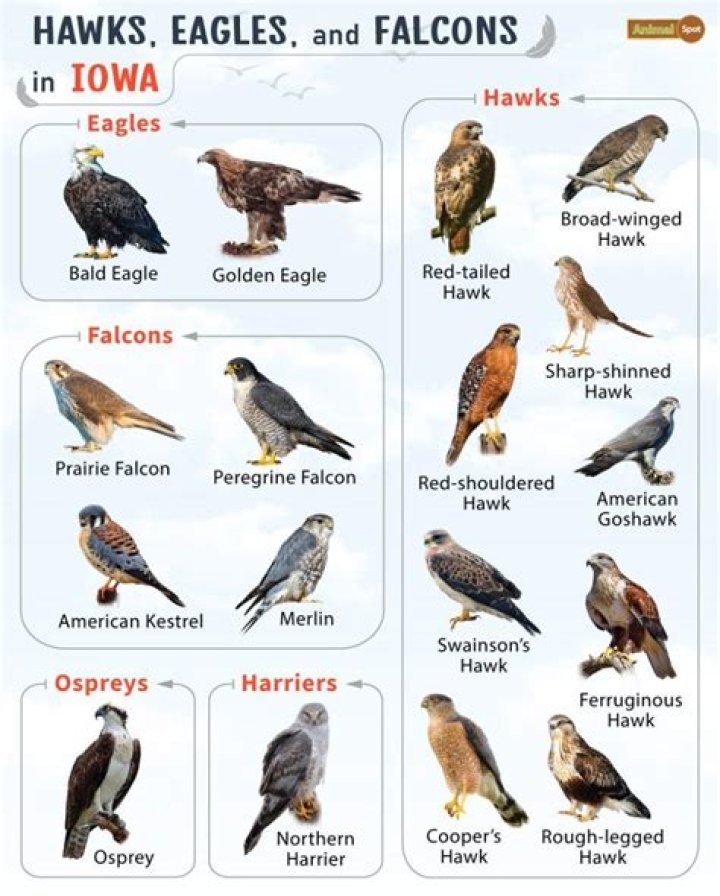 What animals are found in Iowa