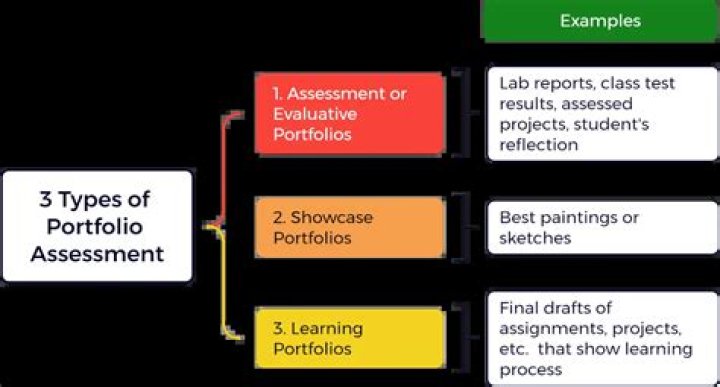 What are assessment portfolios