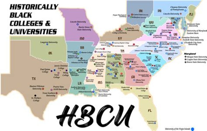 What are black colleges called