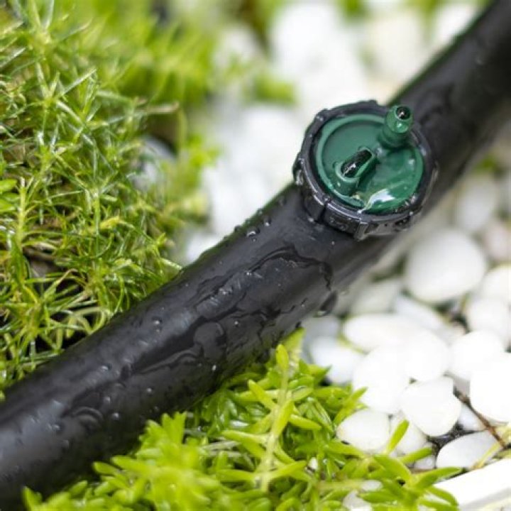 What are button drip emitters