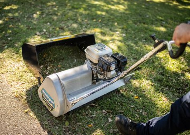 What are cylinder mowers good for