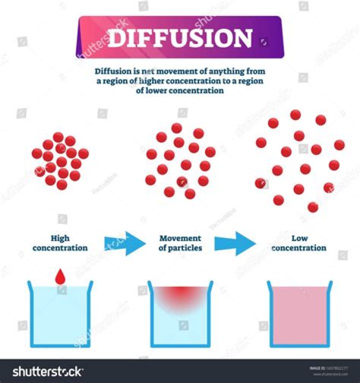 What are examples of diffusion