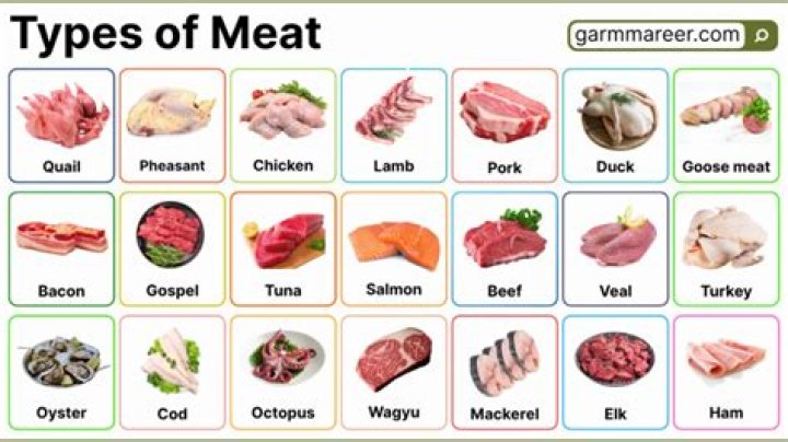 What are examples of meat extract