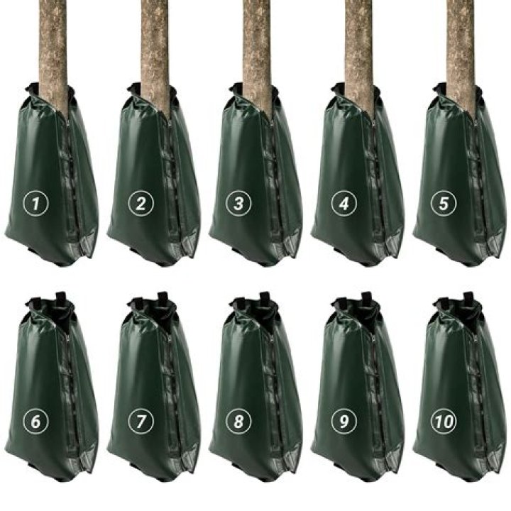 What are gator bags for trees