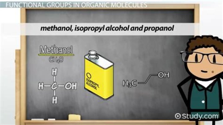 What are hydroxyl groups found in