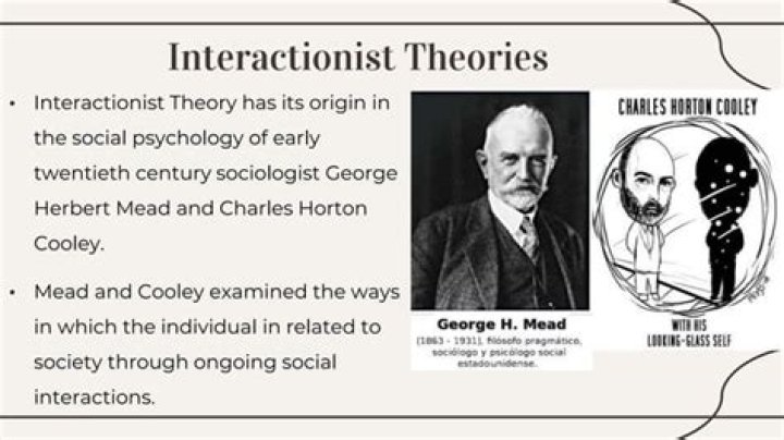 What are Interactionist theories
