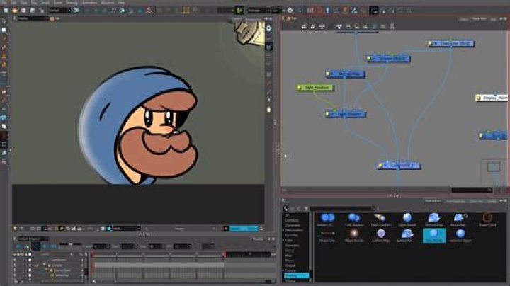What are libraries in animation