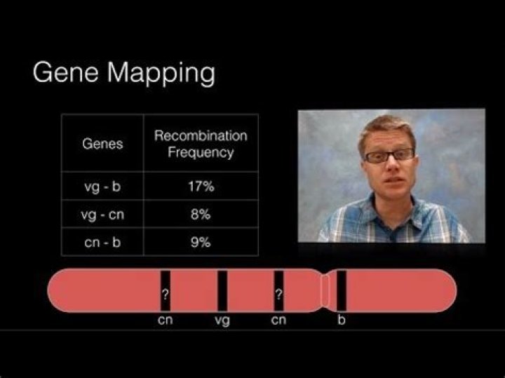 What are map units in genetics