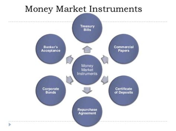 What are money market instruments