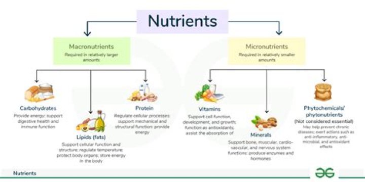 What are nutrients for Class 5