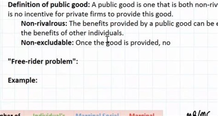 What are public goods problems