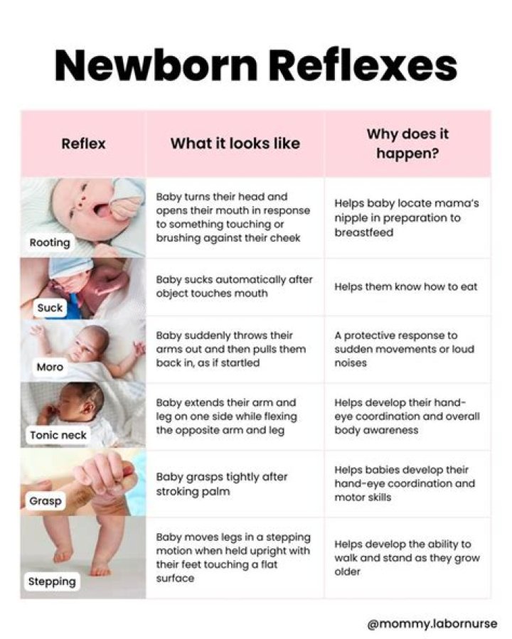 What are the 20 neonatal reflexes