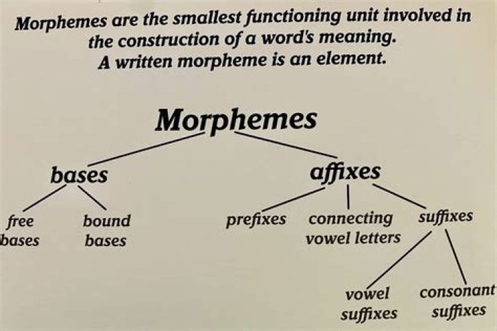 What are the 3 types of morphemes