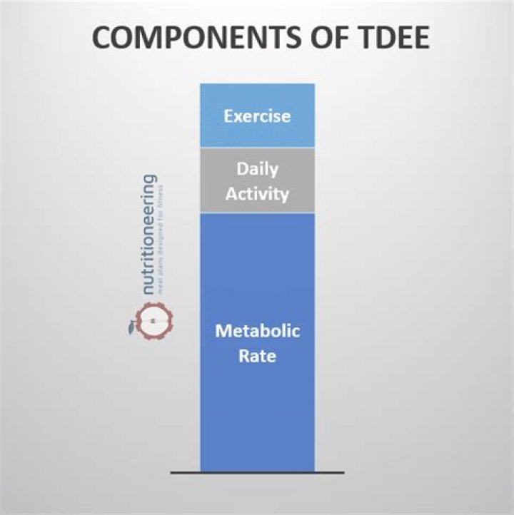 What are the 4 components of TDEE