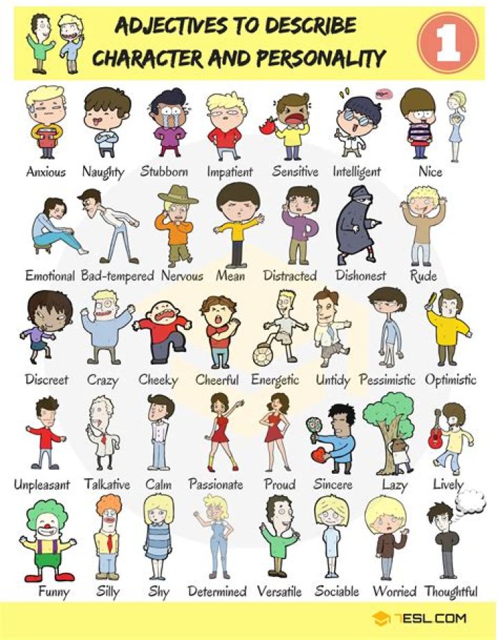 What are the 5 character types