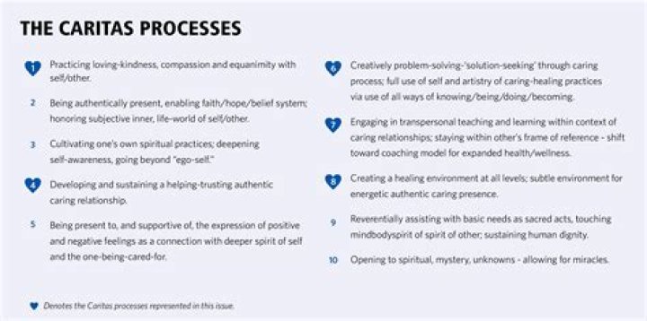 What are the Caritas Processes