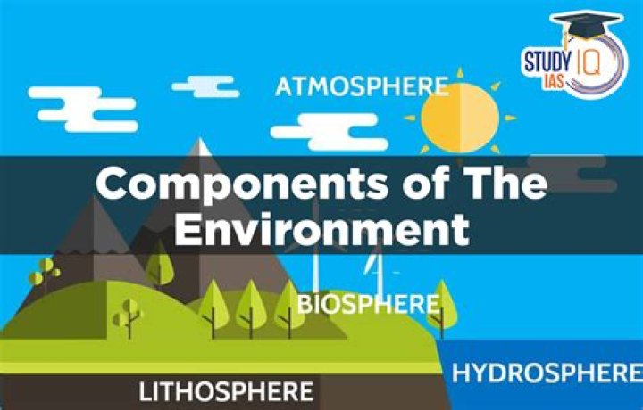 What are the components of JMS
