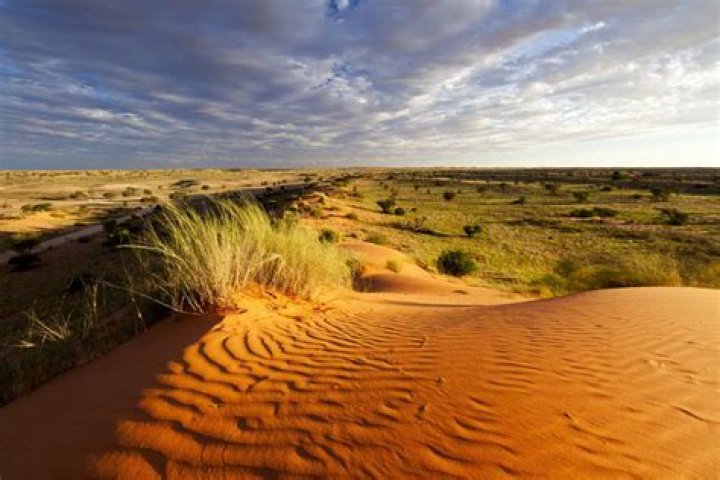 What are the deserts in Africa