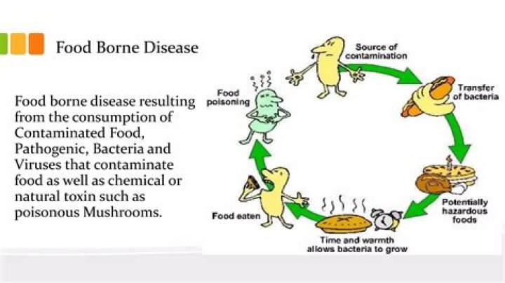 What are the food borne pathogens