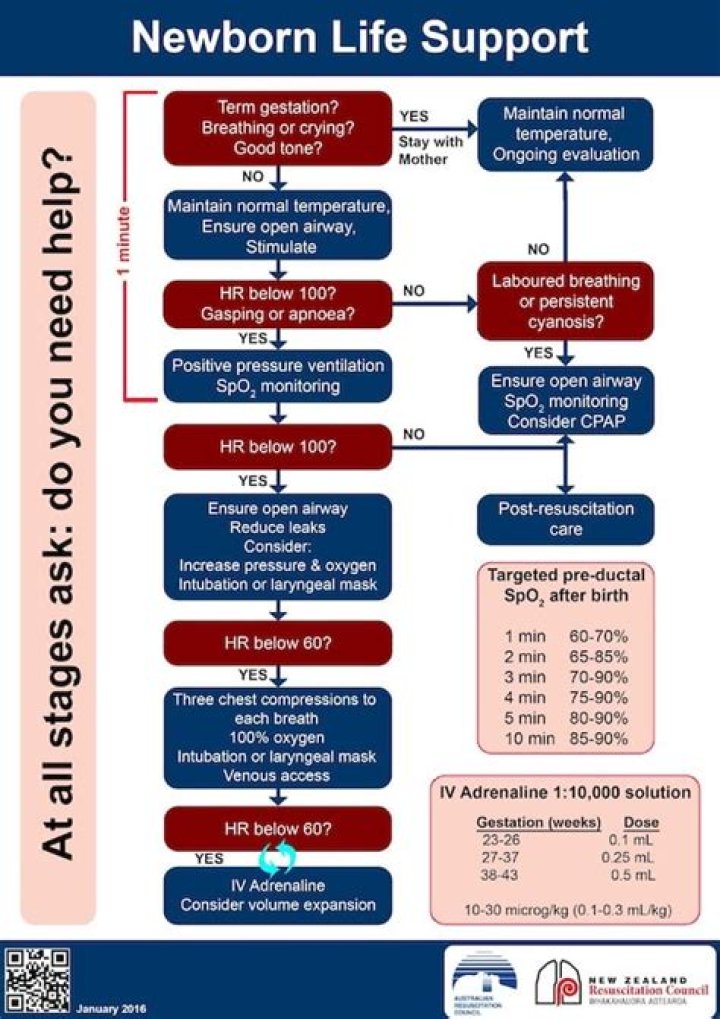 What are the initial steps of newborn care NRP