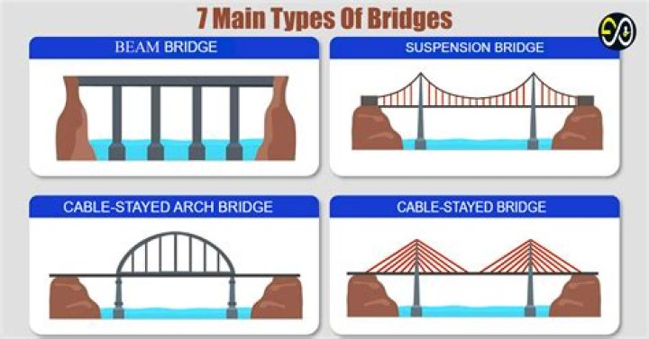What are the main types of shapes