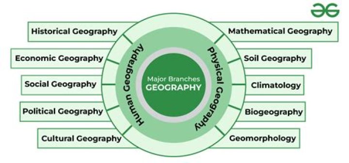 What are the major disciplines