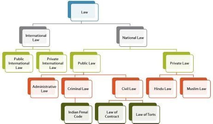 What are the primary differences between tort law and criminal law