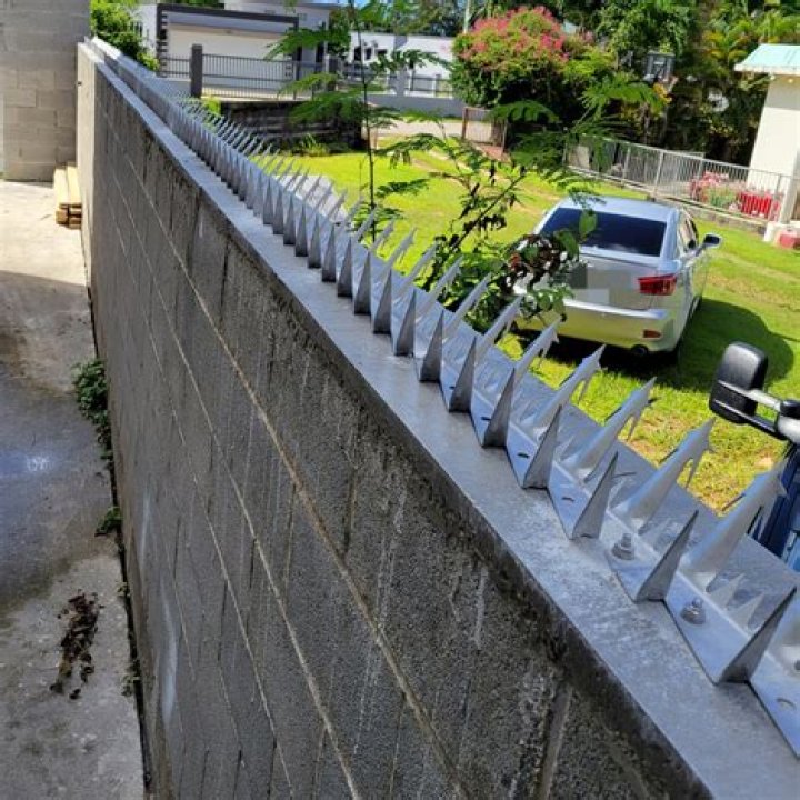 What are the spikes on a roof for